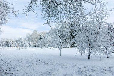 Bulgaristan 'ın Sofya kentindeki South Park' ın şaşırtıcı kış manzarası