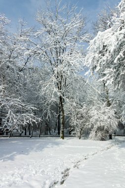 Bulgaristan 'ın Sofya kentindeki South Park' ın şaşırtıcı kış manzarası