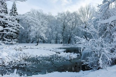 Bulgaristan 'ın Sofya kentindeki South Park' ın şaşırtıcı kış manzarası