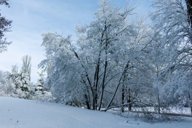 Bulgaristan 'ın Sofya kentindeki South Park' ın şaşırtıcı kış manzarası