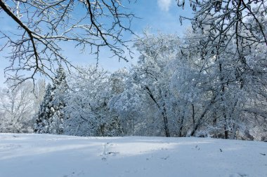 Bulgaristan 'ın Sofya kentindeki South Park' ın şaşırtıcı kış manzarası