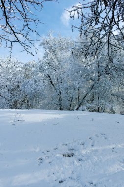 Bulgaristan 'ın Sofya kentindeki South Park' ın şaşırtıcı kış manzarası