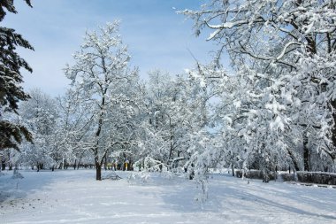 Bulgaristan 'ın Sofya kentindeki South Park' ın şaşırtıcı kış manzarası