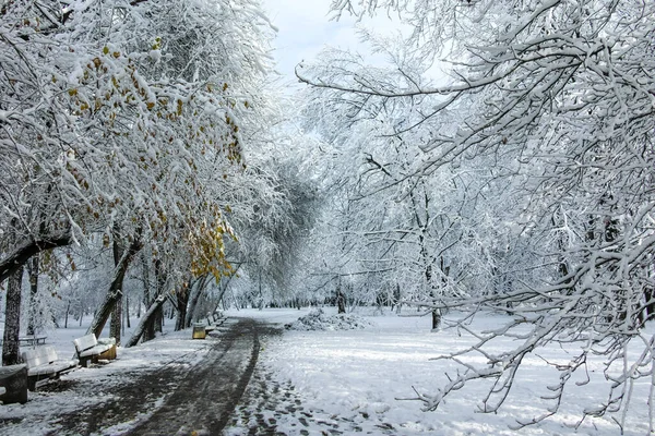Удивительный Зимний Вид Южного Парка Городе София Болгария — стоковое фото