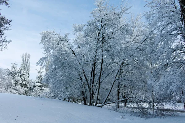 stock image Amazing Winter view of South Park in city of Sofia, Bulgaria