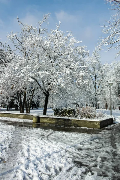 Fantastisk Vinter Utsikt Över South Park Staden Sofia Bulgarien — Stockfoto