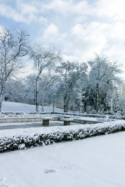 Erstaunliche Winter Blick Auf South Park Der Stadt Sofia Bulgarien — Stockfoto