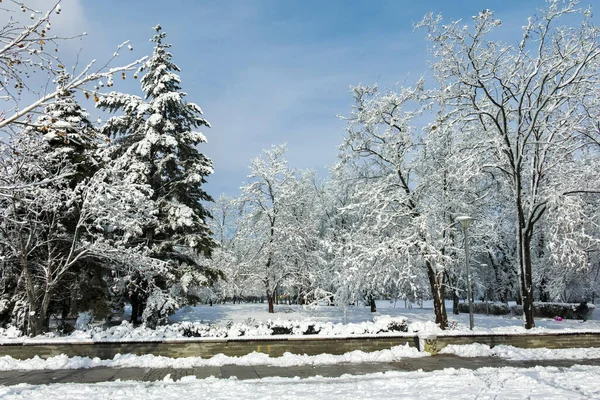 Amazing Winter View South Park City Sofia Bulgaria — Stock Photo, Image