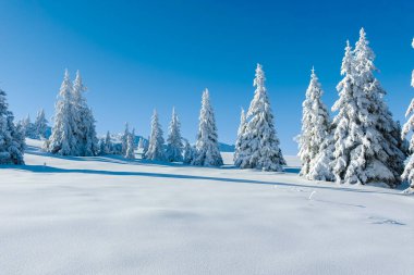 Bulgaristan 'ın Sofya Şehir Bölgesi, Vitosha Dağı' nın İnanılmaz Kış manzarası
