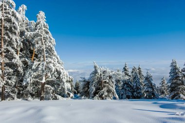 Bulgaristan 'ın Sofya Şehir Bölgesi, Vitosha Dağı' nın İnanılmaz Kış manzarası