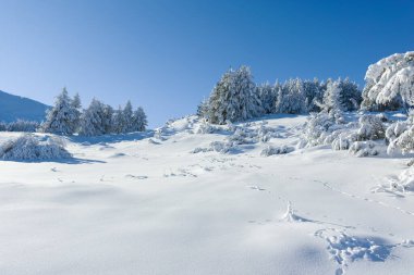 Bulgaristan 'ın Sofya Şehir Bölgesi, Vitosha Dağı' nın İnanılmaz Kış manzarası