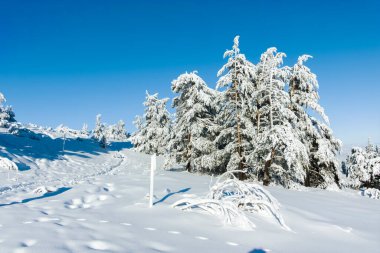 Bulgaristan 'ın Sofya Şehir Bölgesi, Vitosha Dağı' nın İnanılmaz Kış manzarası