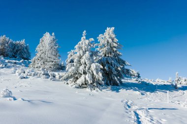 Bulgaristan 'ın Sofya Şehir Bölgesi, Vitosha Dağı' nın İnanılmaz Kış manzarası