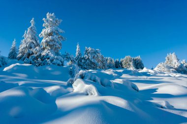 Bulgaristan 'ın Sofya Şehir Bölgesi, Vitosha Dağı' nın İnanılmaz Kış manzarası