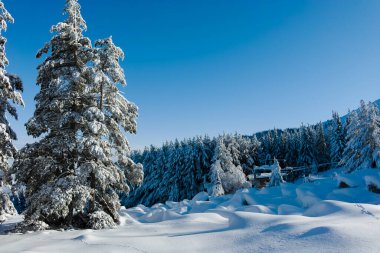 Bulgaristan 'ın Sofya Şehir Bölgesi, Vitosha Dağı' nın İnanılmaz Kış manzarası