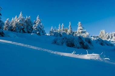 Bulgaristan 'ın Sofya Şehir Bölgesi, Vitosha Dağı' nın İnanılmaz Kış manzarası