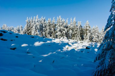 Bulgaristan 'ın Sofya Şehir Bölgesi, Vitosha Dağı' nın İnanılmaz Kış manzarası