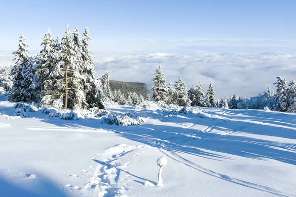 stock image Amazing Winter landscape of Vitosha Mountain, Sofia City Region, Bulgaria