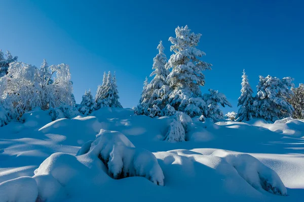 Дивовижний Зимовий Пейзаж Гори Вітоша Софійський Міський Район Болгарія — стокове фото