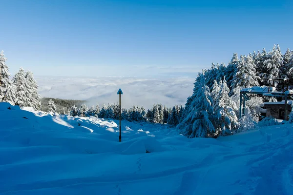 Erstaunliche Winterlandschaft Des Vitosha Gebirges Stadtgebiet Sofia Bulgarien — Stockfoto
