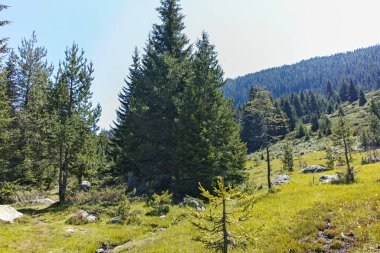 Bulgaristan 'ın Begovitsa kulübesi yakınlarındaki Pirin Dağı' nın şaşırtıcı manzarası