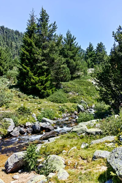 stock image Amazing Landscape of Pirin Mountain mountain near Begovitsa hut, Bulgaria