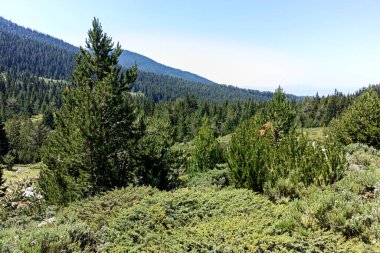 Bulgaristan 'ın Begovitsa kulübesi yakınlarındaki Pirin Dağı' nın şaşırtıcı manzarası