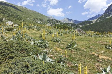 Bulgaristan 'ın Begovitsa kulübesi yakınlarındaki Pirin Dağı' nın şaşırtıcı manzarası