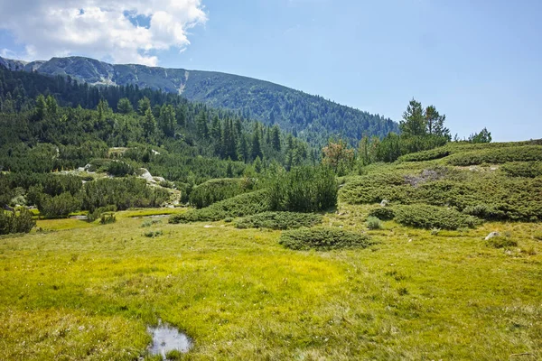 Amazing Landscape Pirin Mountain Mountain Begovitsa Hut Bulgaria — Photo