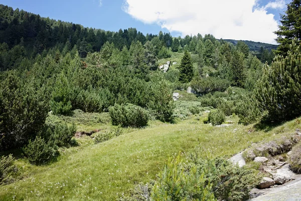 Amazing Landscape Pirin Mountain Mountain Begovitsa Hut Bulgaria — Fotografia de Stock