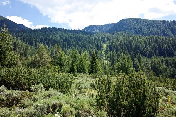 Úžasná Krajina Hory Pirin Poblíž Chaty Begovitsa Bulharsko — Stock fotografie