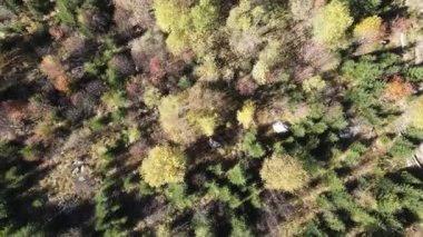 Bulgaristan 'ın Vitosha Dağı' nın İnanılmaz Sonbaharı