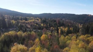 Bulgaristan 'ın Vitosha Dağı' nın İnanılmaz Sonbaharı