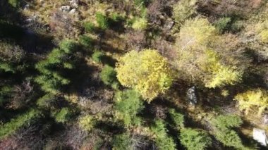 Bulgaristan 'ın Vitosha Dağı' nın İnanılmaz Sonbaharı
