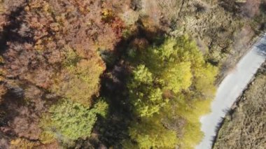 Bulgaristan 'ın Vitosha Dağı' nın İnanılmaz Sonbaharı