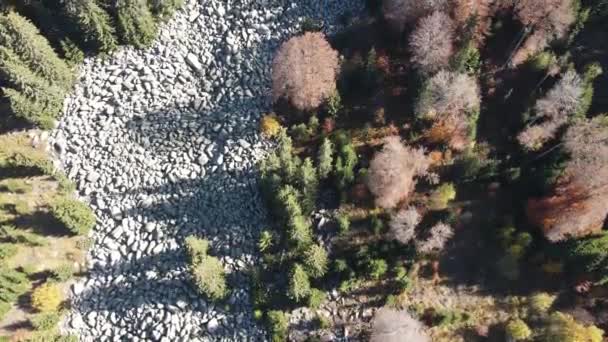 Amazing Aerial Autumn Vitosha Mountain Bulgaria — Stock Video