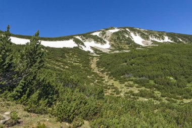Bulgaristan 'ın Bezbog Gölü yakınlarındaki Pirin Dağı' nın İnanılmaz Yaz Manzarası