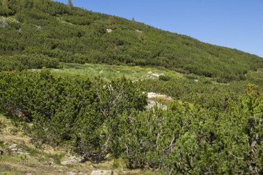 Bulgaristan 'ın Bezbog Gölü yakınlarındaki Pirin Dağı' nın İnanılmaz Yaz Manzarası