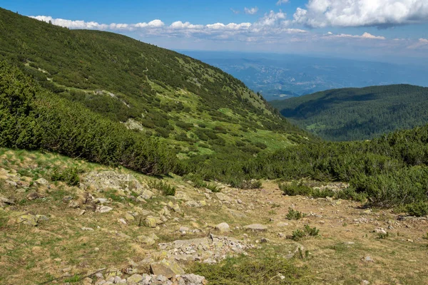 Niesamowity Letni Krajobraz Góry Pirin Pobliżu Jeziora Bezbog Bułgaria — Zdjęcie stockowe