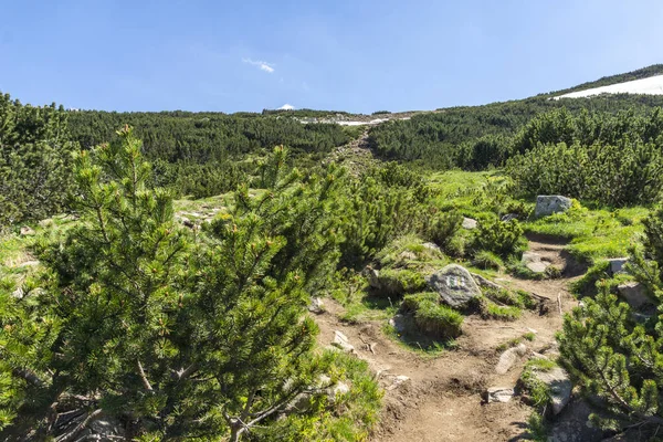 stock image Amazing Summer Landscape of Pirin Mountain near Bezbog Lake, Bulgaria