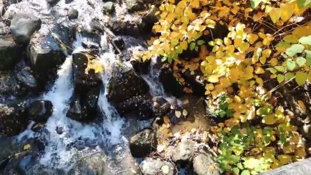 Удивительный Осенний Вид Южный Парк Городе София Болгария — стоковое видео