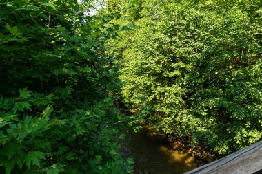 VELINGRAD, BULGARIA - 29 Haziran 2021: Bulgaristan 'ın ünlü Velingrad, Pazardzhik bölgesinin merkezi