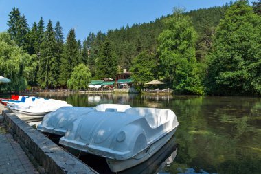 VELINGRAD, BULGARIA - 29 Haziran 2021: Bulgaristan 'ın ünlü Velingrad, Pazardzhik bölgesinin merkezi