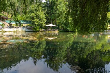 VELINGRAD, BULGARIA - 29 Haziran 2021: Bulgaristan 'ın ünlü Velingrad, Pazardzhik bölgesinin merkezi