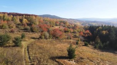 Bulgaristan 'ın Vitosha Dağı' nın İnanılmaz Sonbaharı