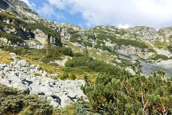Niesamowity Letni Krajobraz Góry Rila Pobliżu Szczytu Orlovets Bułgaria — Zdjęcie stockowe