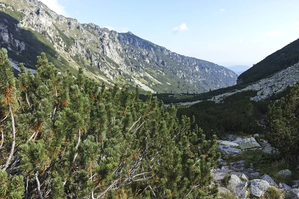 Bulgaristan 'ın Orlovets zirvesi yakınlarındaki Rila Dağı' nın şaşırtıcı yaz manzarası