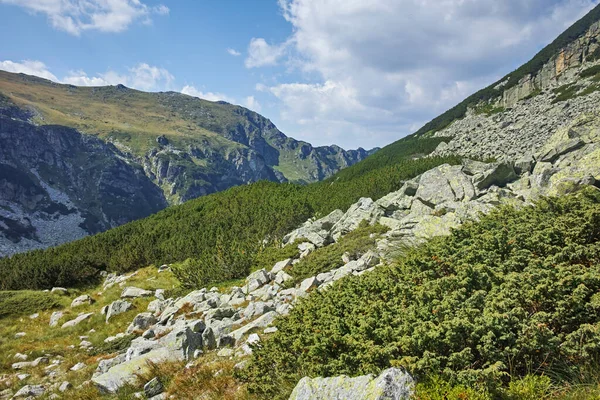 Pemandangan Musim Panas Yang Menakjubkan Rila Mountain Dekat Orlovets Puncak — Stok Foto