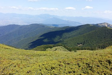 Bulgaristan 'ın Blagoevgrad bölgesindeki Belasitsa Dağı' nın şaşırtıcı yaz manzarası