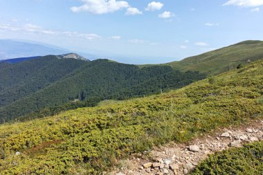 Bulgaristan 'ın Blagoevgrad bölgesindeki Belasitsa Dağı' nın şaşırtıcı yaz manzarası